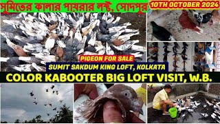 সুমিতের কালার পায়রার লফ্ট সোদপুর  Sakdum King Sumit Pigeon Loft Visit At Kolkata WB  101024 [upl. by Ymij]