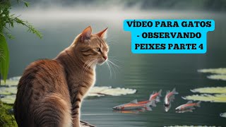 Vídeo para GATOS  Observando peixes parte 4 [upl. by Lally93]