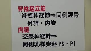 【手技療法】律動法 10月セミナーのスケジュール掲示 [upl. by Amir]