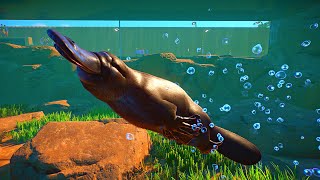 Making a HUGE Ethical Underwater Platypus Habitat [upl. by Modestia]