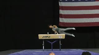 Aidan Cuy  Pommel Horse  2022 US Classic  Men  Session 1 [upl. by Marya]