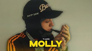 tlow  MOLLY OFFICIAL VIDEO prod808Vibes [upl. by Michell396]