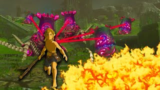 Breath of the Wild but EVERYTHING is randomized [upl. by Tahmosh307]