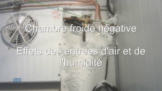 Froid97Effets des entrées dair et de lhumiditéchambre froide négative [upl. by Heer]