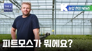 클라스만 데일만 묻고 답하다 90초 영상 피트모스 피트 화이트피트모스 블랙피트모스 피트모스 채굴 상토 [upl. by Aissenav]