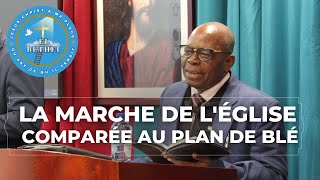 LA MARCHE DE LÉGLISE COMPARÉE AU PLAN DE BLÉ [upl. by Cassell]