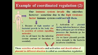 coordinated regulations Bacterial Virulence Factor [upl. by Eerazed]