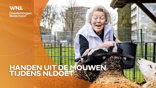 NLdoet 64000 Nederlanders als vrijwilliger aan de slag [upl. by Berne]