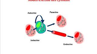 Les Cytokines [upl. by Aniretac474]