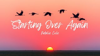 Natalie Cole  Starting Over Again Lyrics [upl. by Sandry]