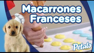 Receta de Macarrones Franceses  Tu Cocina Pétalo® [upl. by Arayc]