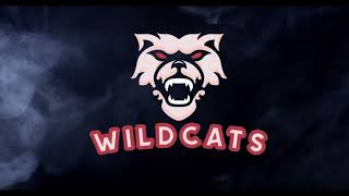 Lincolnshire Wildcats vs Bromsgrove Bears Highlights [upl. by Aihsrop]