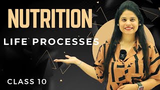 Nutrition  Chapter 5  Introduction  Class 10 Science  NCERT [upl. by Sahcnip]