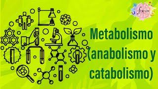 Metabolismo anabolismo y catabolismo [upl. by Eceinhoj]