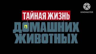 All Illumination Title Card Intro Russian Version [upl. by Painter]