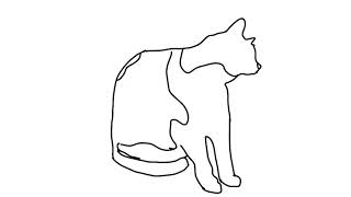 Tracing my cat until he becomes an incomprehensible shape Pt1 [upl. by Yahsram]