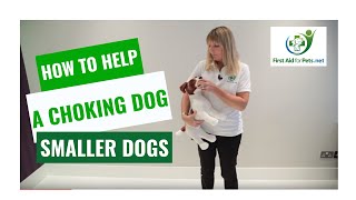 How to Help a Choking Dog  Smaller Dogs  First Aid for Pets [upl. by Irrac]