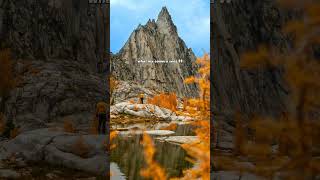 Washington’s larches are always magical in the Enchantments washington fallfoliage [upl. by Buke223]