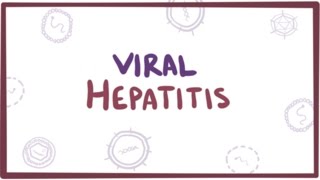 Viral hepatitis A B C D E  causes symptoms diagnosis treatment amp pathology [upl. by Colver22]