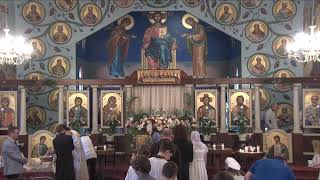 Vesperal Divine Liturgy of Holy Saturday 5424 [upl. by Ilojne774]