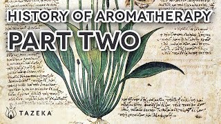 History of Aromatherapy Part 2 [upl. by Anirres847]