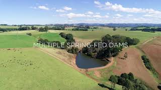 570 Tyringham Road Dorrigo NSW 2453 [upl. by Etnoj657]