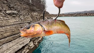 Fishing Off a CLIFF for MONSTER Fish Insanely Deep [upl. by Carli]