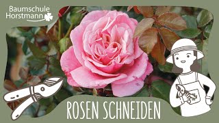 Rosen schneiden  8 Tipps und Tricks für Anfänger [upl. by Swain]