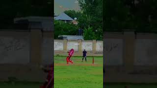 beautifull six cricketshortsvideo virelshort cricketlover 🏏🏏🏏 [upl. by Eliam]