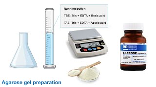 DNA Gel Electrophoresis [upl. by Anastas]