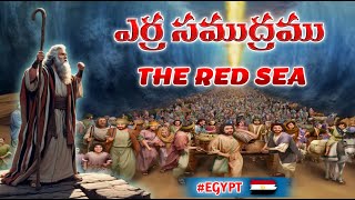 ఎర్ర సముద్రము  The Red Sea  Egypt  Israel  Holy Land Tour [upl. by Renate]