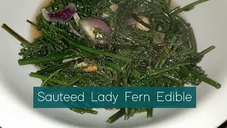 Sauteed Lady Fern Edible pako veggies suateed gulay [upl. by Seyler]