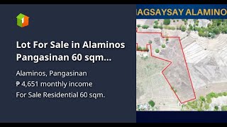 Lot For Sale in Alaminos Pangasinan 60 sqm Minimum Cut [upl. by Amber]