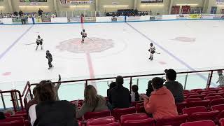 Aces vs Haldimand 2nd Period Regular Season 20241106 [upl. by Alak]