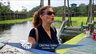 Fantástico mostra o abandono do hotel de selva Ariaú no Amazonas  Globo HD [upl. by Armstrong228]