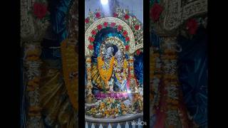 Amla nabami upalakhe Radha pada darsana radhakrishna love [upl. by Erialcyram]