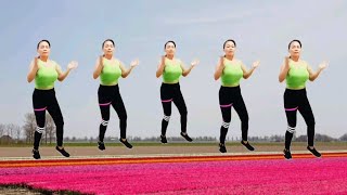 aerobics dance exercise lose weight reduce fat slim waistlovely dance fit [upl. by Nailij]