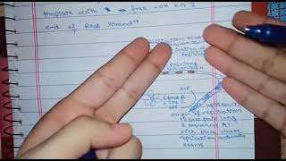 DNA replication in prokaryotes [upl. by Herm]