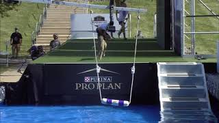 The 2020 Purina Pro Plan Incredible Dog Challenge 1st Place Results  FetchIt Dog Competition [upl. by Haidebez272]