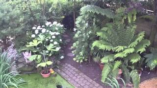 Exoten tuin in KeiemDiksmuide Exotic garden Belgium [upl. by Hicks]