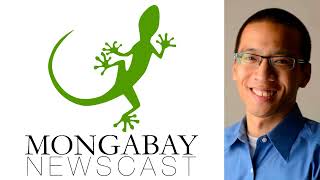 Mongabay Climate loss amp damage fund ‘the furthest thing imaginable from a success’ [upl. by Nell]