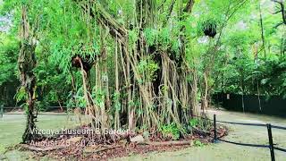 Miami  Vizcaya Museum amp Gardens [upl. by Ayifas]