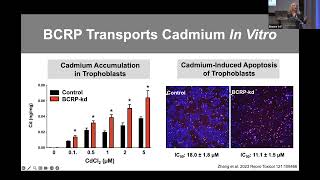 2024 MPRINT Annual Conference Prediction of Teratogenicity and Drug Toxicity Utilizing preclinica [upl. by Trebloc125]