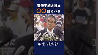 【遺伝子組み換え〇〇貼るべき】 「『TPPの影響』政治 石原慎太郎 都知事 警告 政治家 安全保障 政治 添加物 [upl. by Yanarp576]