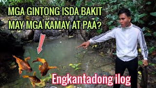 KAKAIBANG ISDA NATAGPUAN l BINABANTAYAN NG MGA ENGKANTADA [upl. by Edgerton]