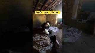 Tandır ekmeğinin güzelliği adorable keşfet öneçıkar tandır ekmek shorts doğalyaşam ytviral [upl. by Ahsilahs936]