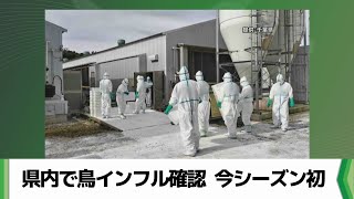 千葉県内で高病原性鳥インフル確認 今シーズン初（20241023放送） [upl. by Queston163]