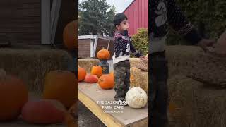 THE SASKATOONFARM pumpkin saskatoon travelvlog halloween ytshorts youtubeshorts travel fall [upl. by Danielson]