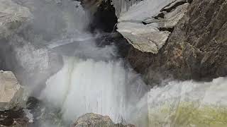 Yellowstone Upper and Lower Falls plus a grizzly in the meadows [upl. by Odraner]