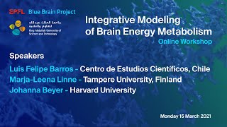 KAUST amp EPFL Blue Brain Project workshop ‘Integrative Modeling of Brain Energy Metabolism’ Session 2 [upl. by Mae]